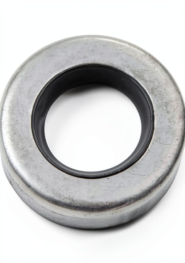 GHmarine Evinrude Johnson Water Pump Repair Kit for 9.9/15hp 2 & 4-4